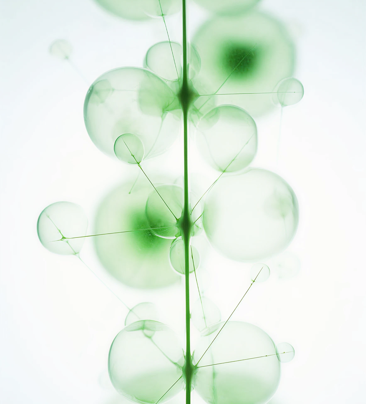 Exosome Therapy